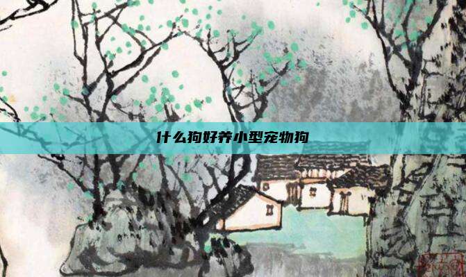 什么狗好养小型宠物狗