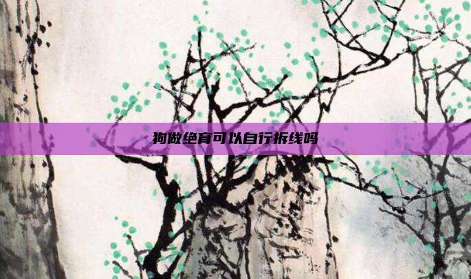 狗做绝育可以自行拆线吗