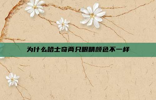 为什么哈士奇两只眼睛颜色不一样