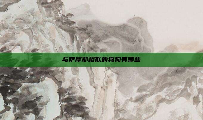 与萨摩耶相似的狗狗有哪些