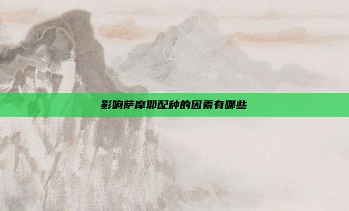 影响萨摩耶配种的因素有哪些