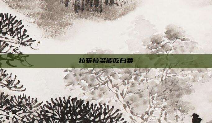 拉布拉多能吃白菜