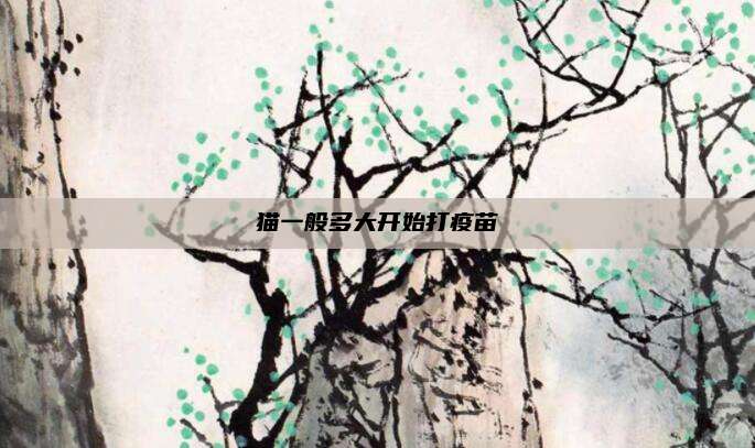 猫一般多大开始打疫苗