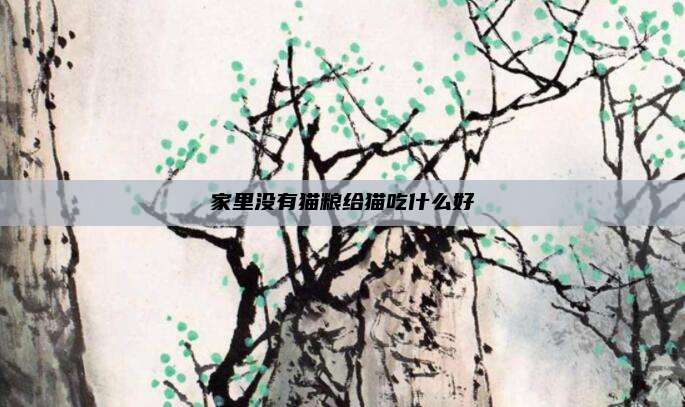 家里没有猫粮给猫吃什么好