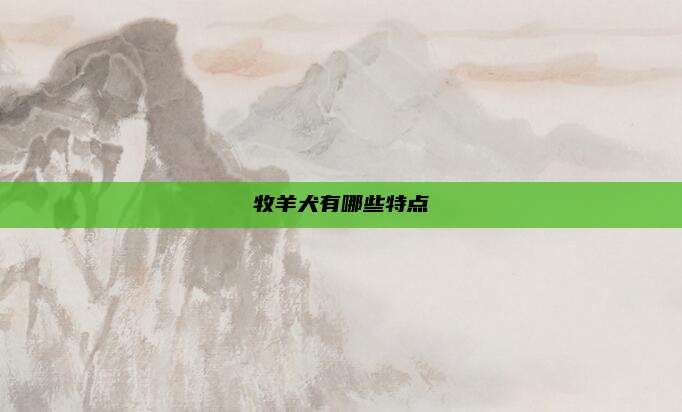 牧羊犬有哪些特点