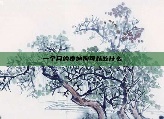 一个月的泰迪狗可以吃什么