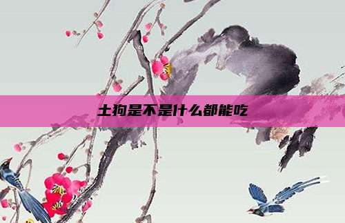 土狗是不是什么都能吃