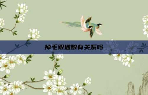 掉毛跟猫粮有关系吗