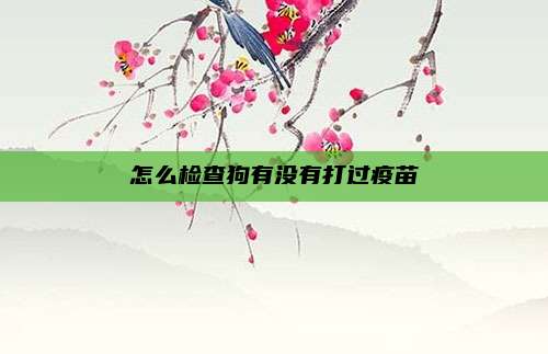 怎么检查狗有没有打过疫苗