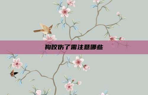 狗咬伤了需注意哪些