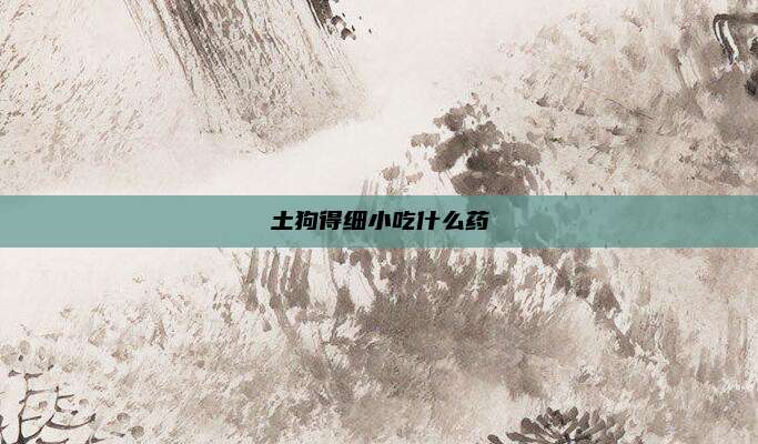 土狗得细小吃什么药