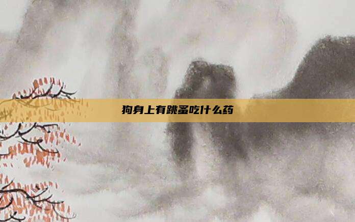 狗身上有跳蚤吃什么药
