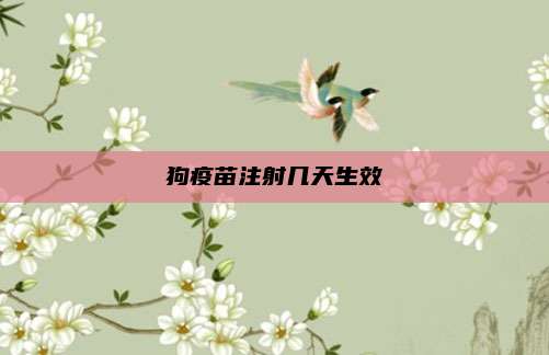 狗疫苗注射几天生效