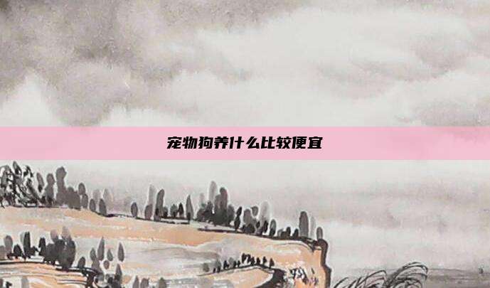 宠物狗养什么比较便宜