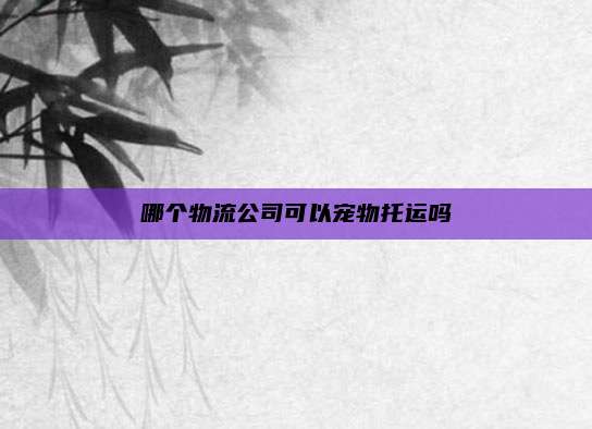 哪个物流公司可以宠物托运吗