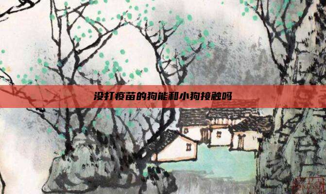 没打疫苗的狗能和小狗接触吗