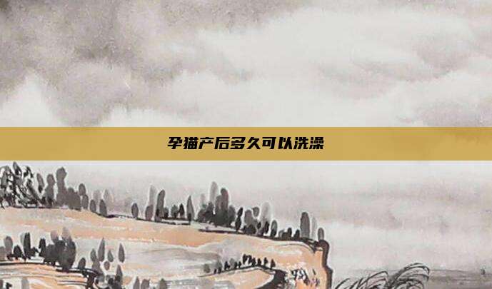 孕猫产后多久可以洗澡