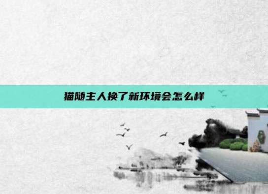 猫随主人换了新环境会怎么样