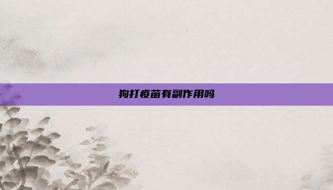 狗打疫苗有副作用吗