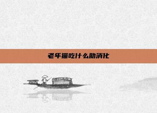 老年猫吃什么助消化