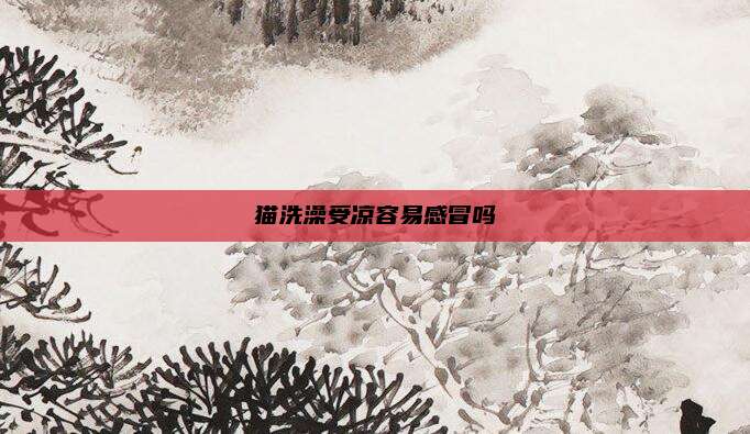 猫洗澡受凉容易感冒吗