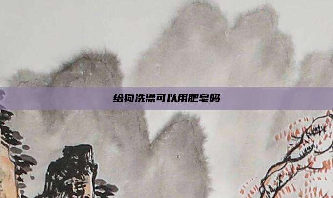 给狗洗澡可以用肥皂吗