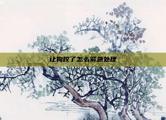 让狗咬了怎么紧急处理