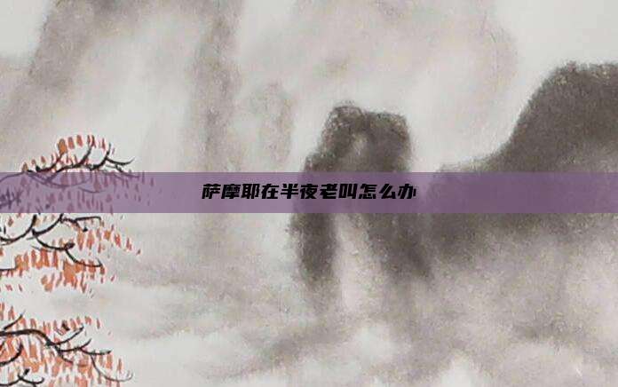 萨摩耶在半夜老叫怎么办