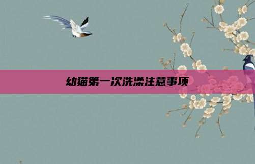 幼猫第一次洗澡注意事项