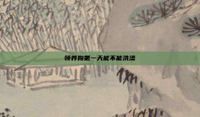 领养狗第一天能不能洗澡