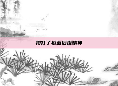 狗打了疫苗后没精神