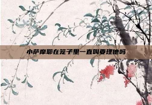 小萨摩耶在笼子里一直叫要理他吗