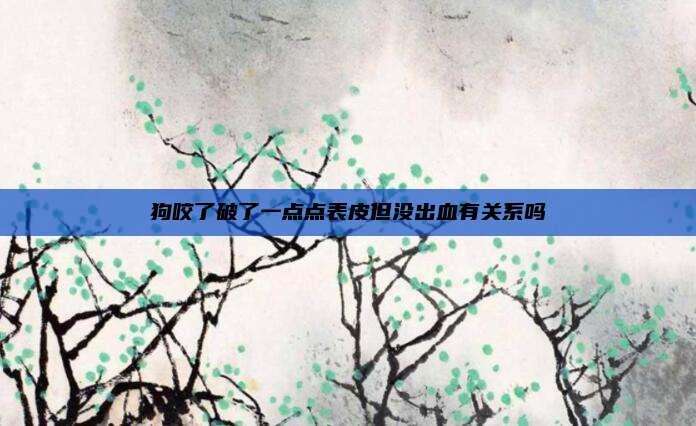 狗咬了破了一点点表皮但没出血有关系吗