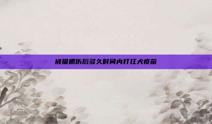 被猫抓伤后多久时间内打狂犬疫苗