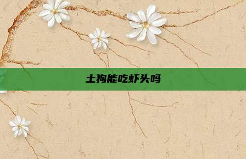 土狗能吃虾头吗