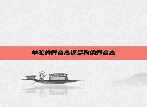 羊驼的智商高还是狗的智商高