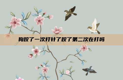 狗咬了一次打针了咬了第二次在打吗