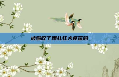 被猫咬了用扎狂犬疫苗吗