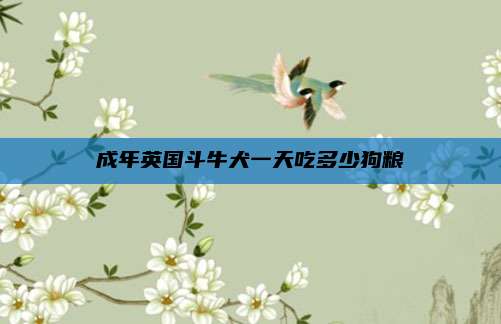 成年英国斗牛犬一天吃多少狗粮