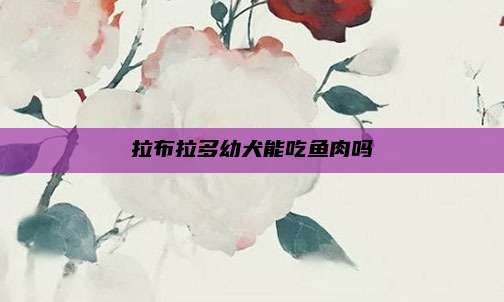 拉布拉多幼犬能吃鱼肉吗