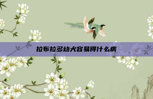 拉布拉多幼犬容易得什么病