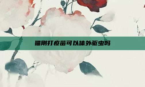 猫刚打疫苗可以体外驱虫吗