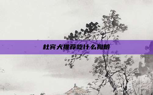 杜宾犬推荐吃什么狗粮