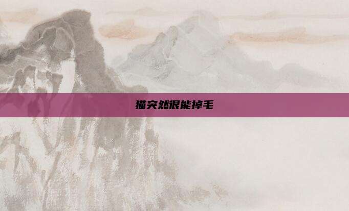 猫突然很能掉毛