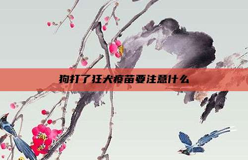 狗打了狂犬疫苗要注意什么