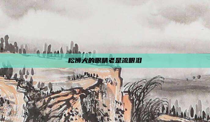 松狮犬的眼睛老是流眼泪