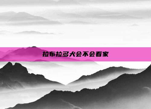 拉布拉多犬会不会看家