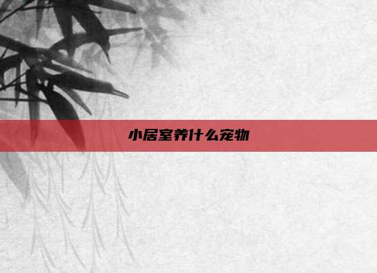 小居室养什么宠物