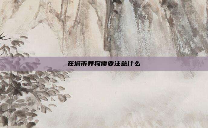 在城市养狗需要注意什么