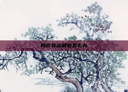 狗咬有点破皮怎么办